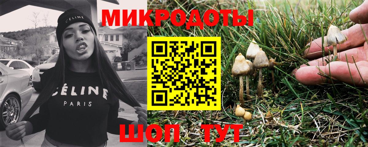 Псилоцибиновые грибы Magic Shrooms Истра