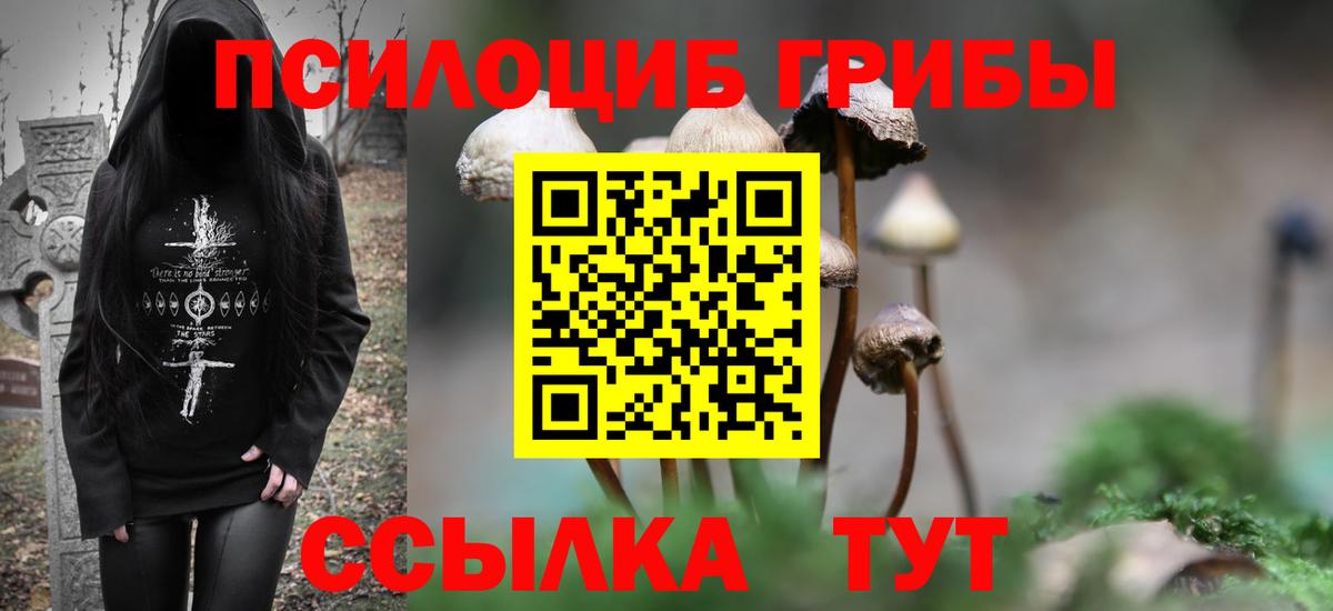 Галлюциногенные грибы прущие грибы  Вход с VPN  Истра 