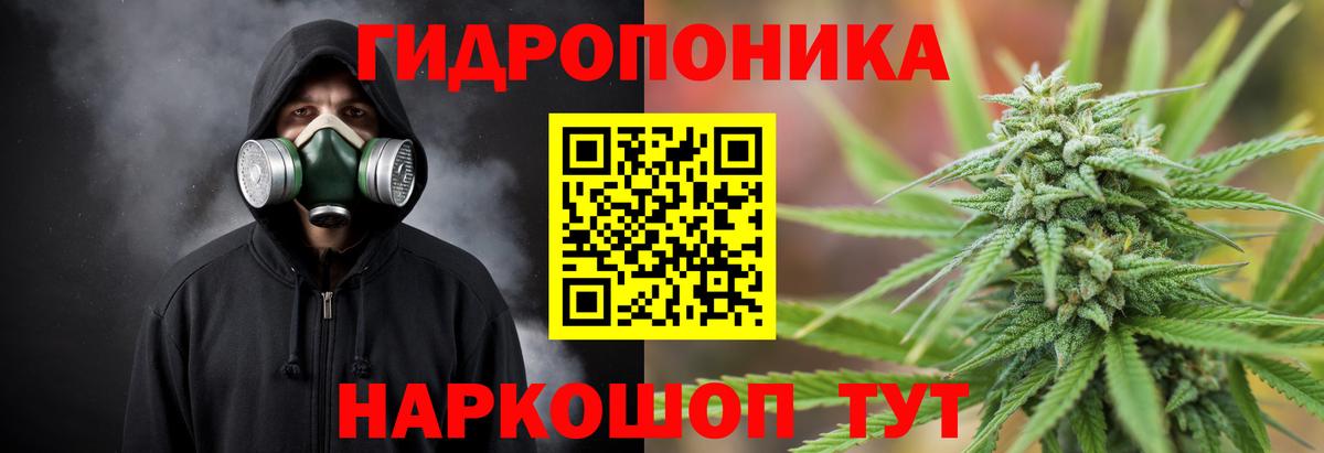 МАРИХУАНА White Widow Истра